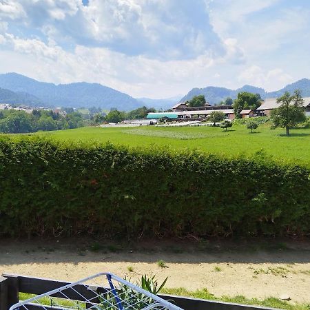 Apartma Julia Spodnje Gorje Dış mekan fotoğraf