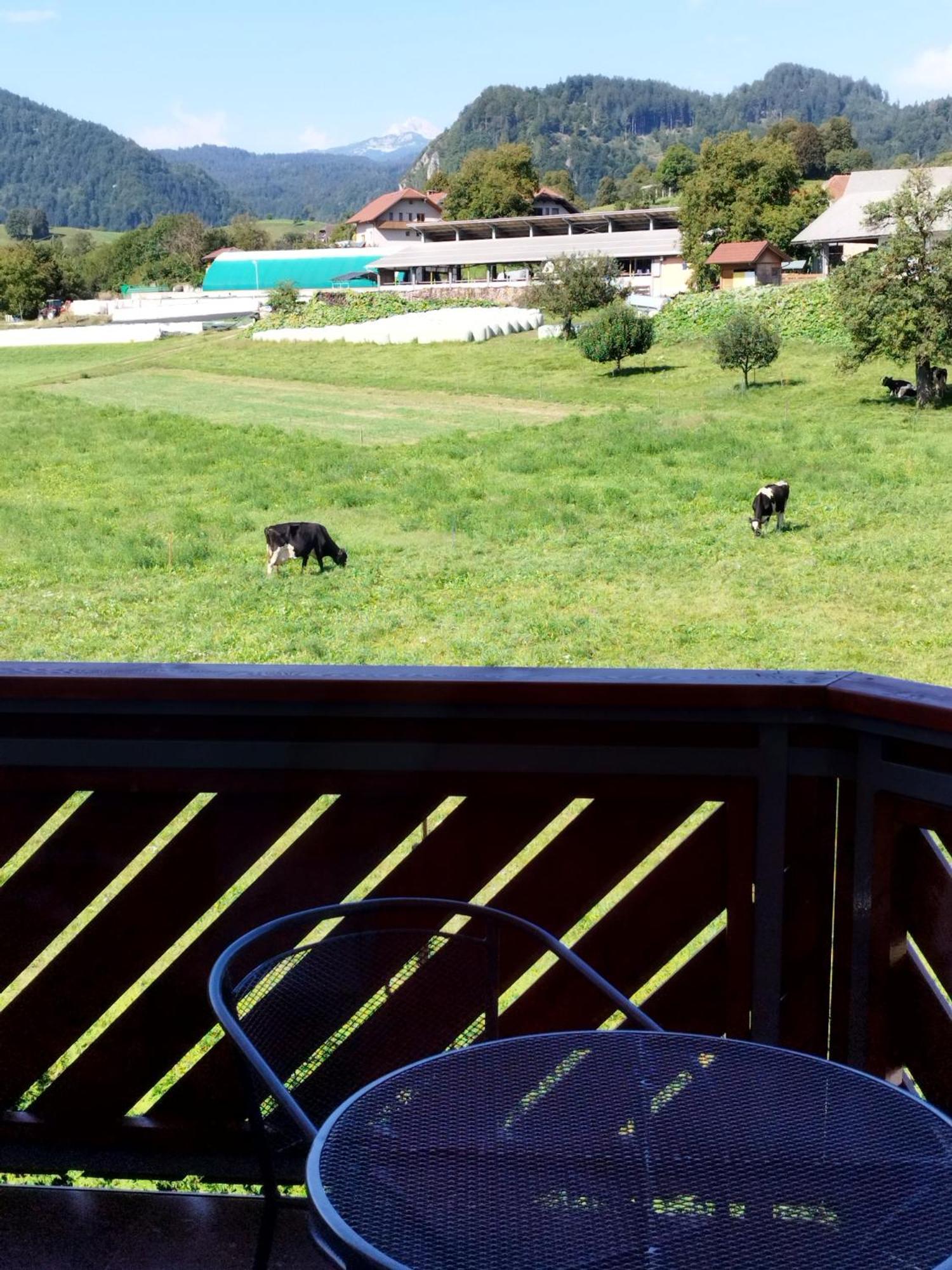 Apartma Julia Spodnje Gorje Dış mekan fotoğraf